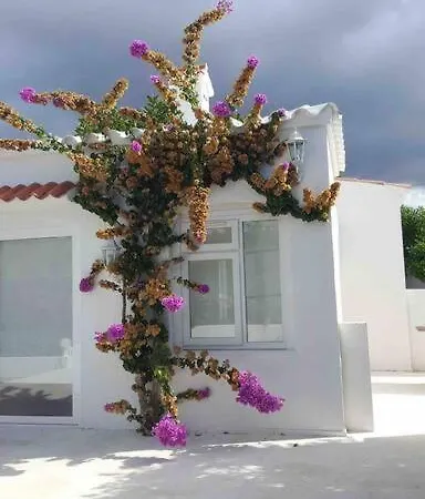 Private Beautiful House -