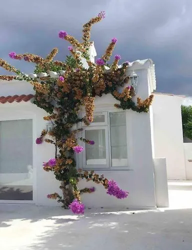 Private Beautiful House -